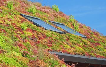 Pardshaw living roof systems